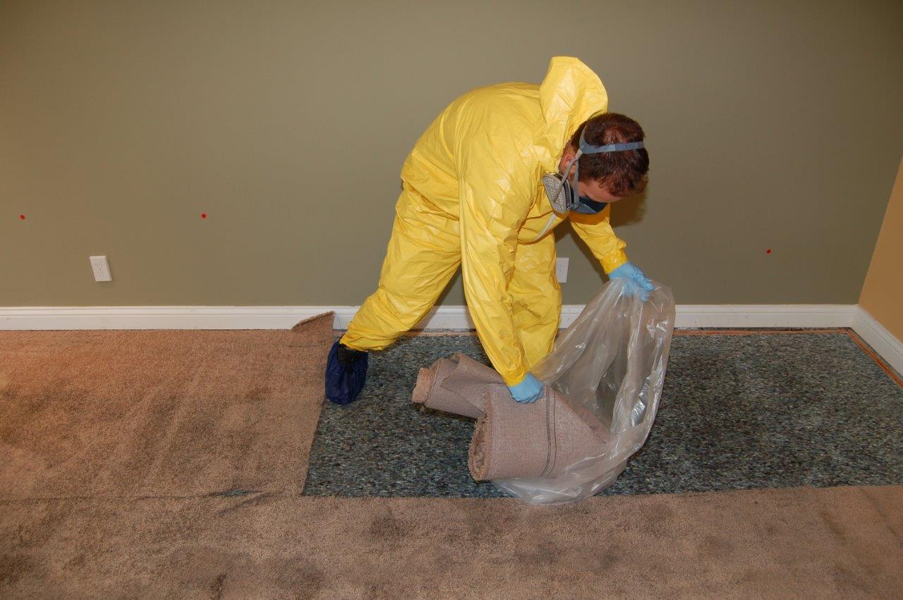 Sewage Cleanup in Riverview, Michigan (3691)