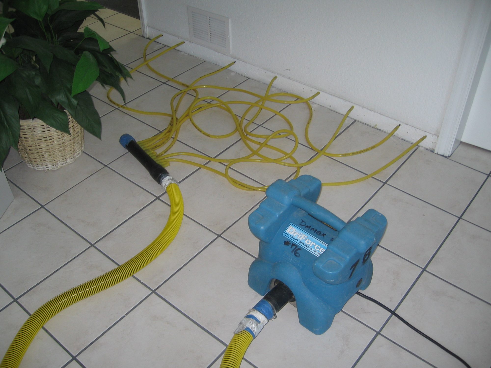 Sewage Cleanup in Riverview, Michigan (2990)