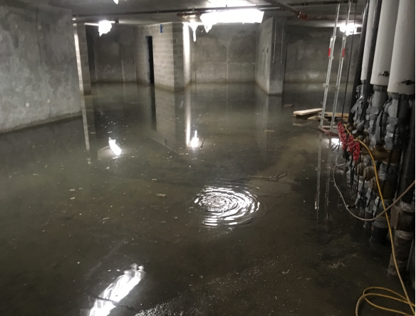 Sewage Cleanup in Melvindale, Michigan (9951)