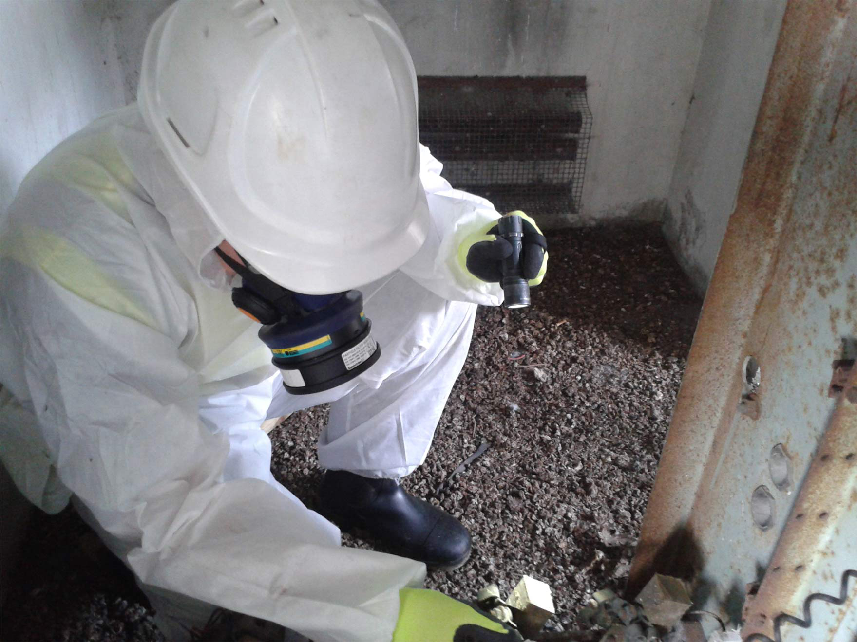 Asbestos Removal in Dearborn, Michigan (8603)