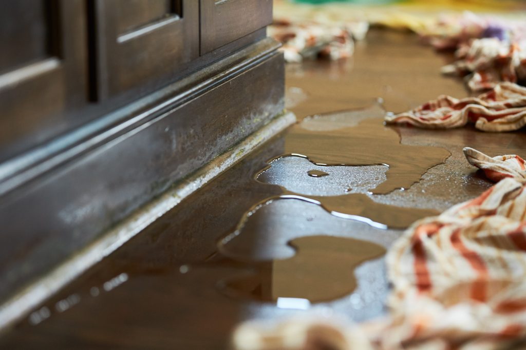 Water Damage Restoration in Melvindale, Michigan (7639)