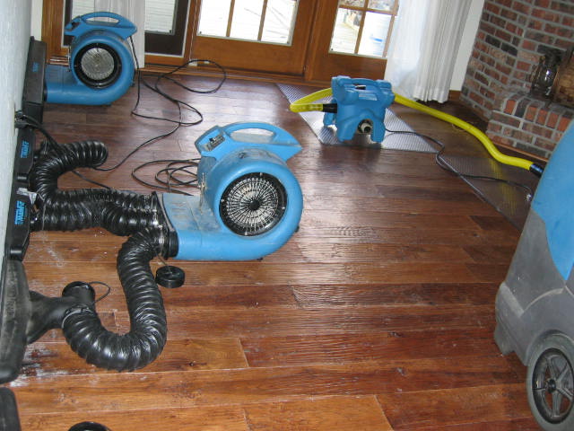 Water Damage Restoration in Grosse Pointe, Michigan (4552)