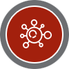 icon6