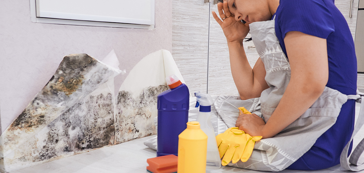 Mold Removal in Dexter, Michigan (862)