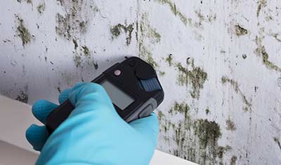 Mold Removal in Wayne, Michigan (4420)
