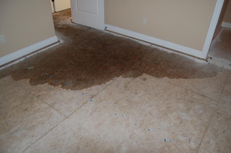 Water Damage Restoration in Grosse Pointe, Michigan (8242)