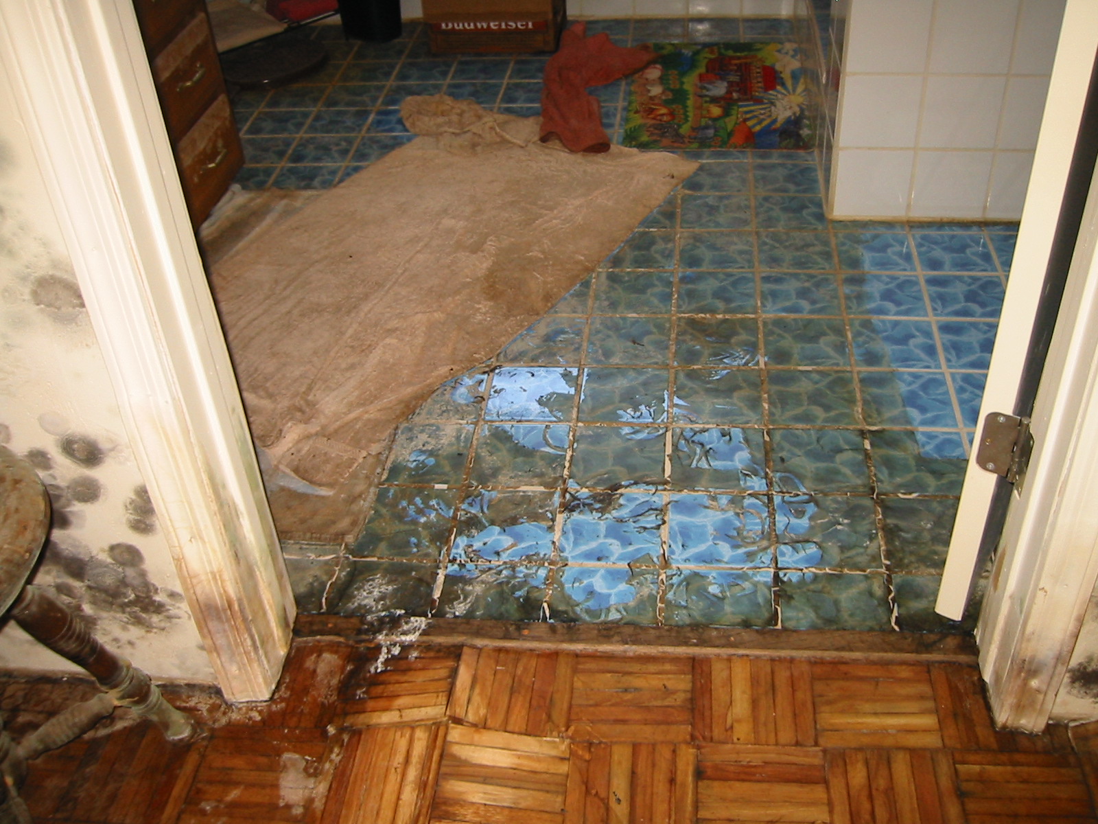 Water Damage Restoration in Belleville, Michigan (845)